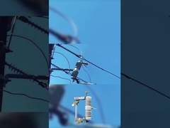hochwertige Sicherung ausgeschnitten 40,5 kv Polymer oder Keramik Drop-out Sicherung ausgeschnitten